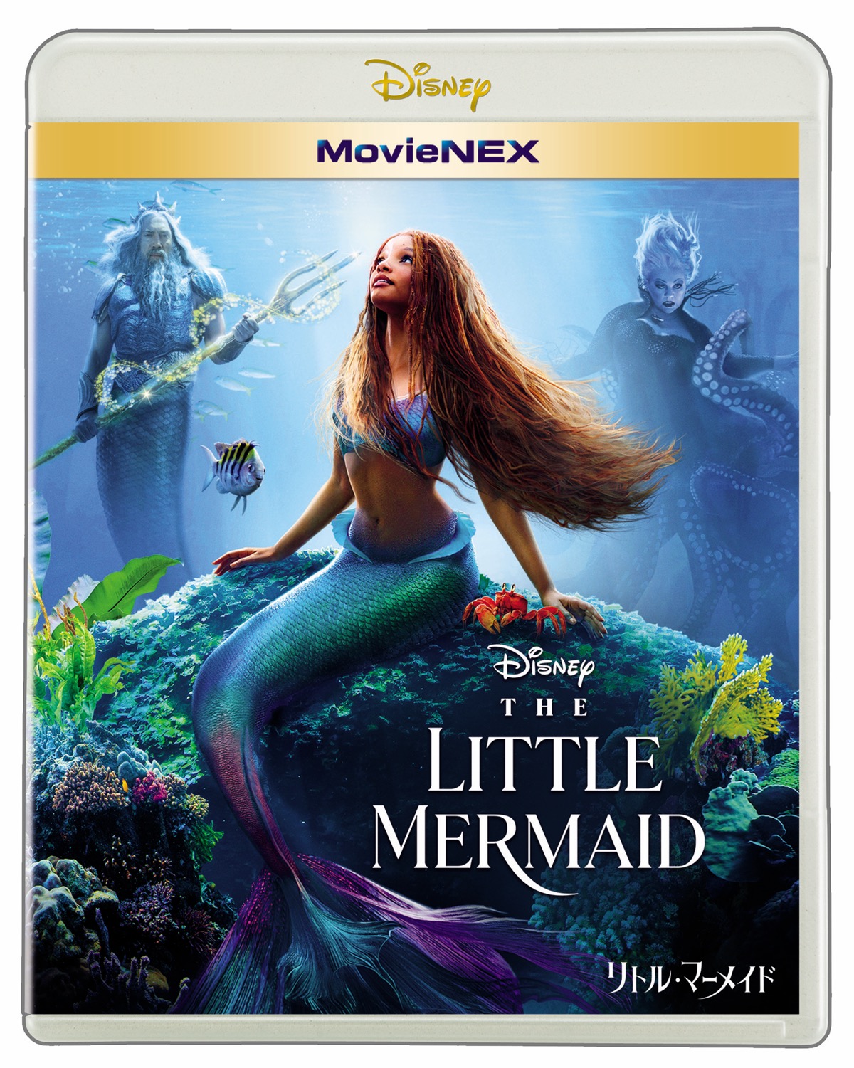 デジタル配信中の『リトル・マーメイド』MovieNEX版は特典多数で9月20日（水）に発売されます