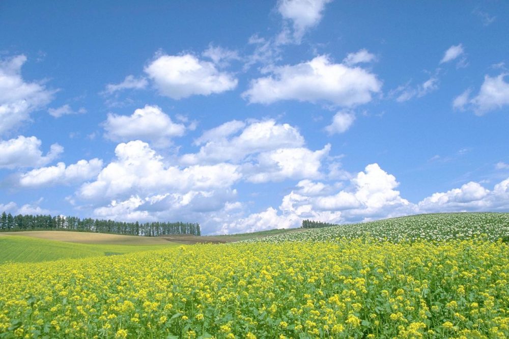 東京ベイエリアの公共施設