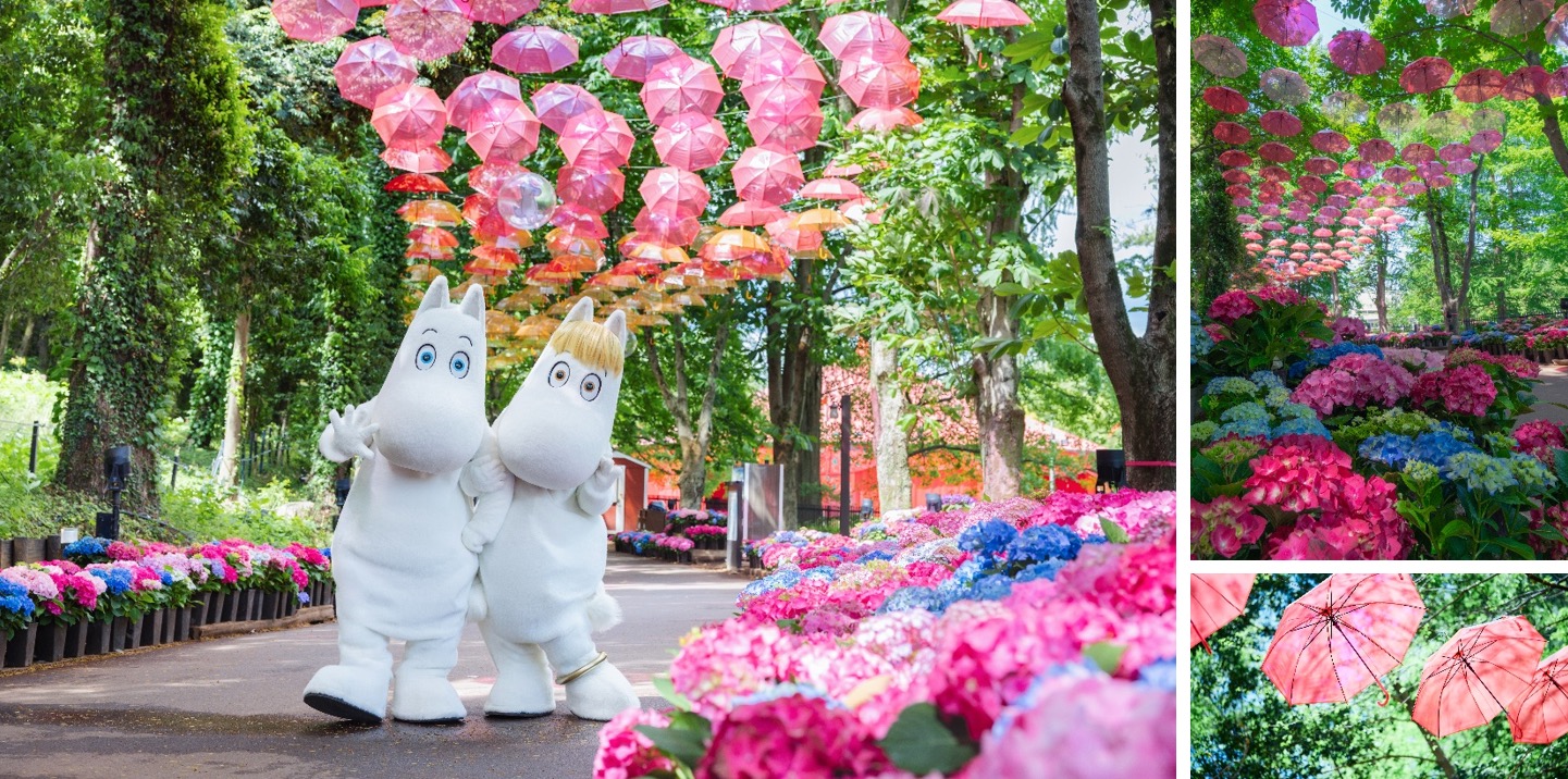 【ムーミンバレーパーク】6月11日は「傘の日」×「ニョロニョロの日」！あじさいも最盛期を迎え、雨の季節が最高に映える特別な1日